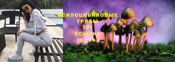 Альфа ПВП Снежногорск