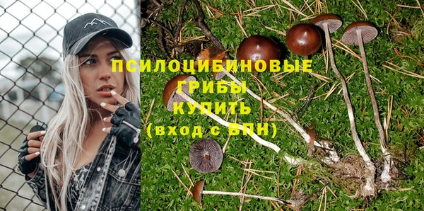 Альфа ПВП Снежногорск