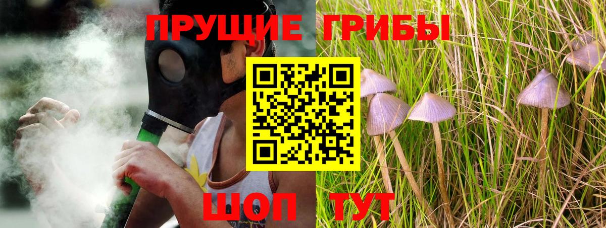 где можно купить наркотик  Ишимбай  Галлюциногенные грибы MAGIC MUSHROOMS 