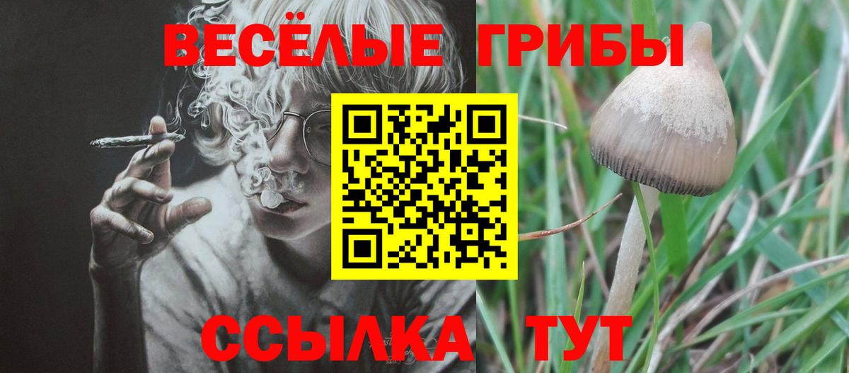 Псилоцибиновые грибы Psilocybine cubensis  Вход с VPN  Ишимбай 